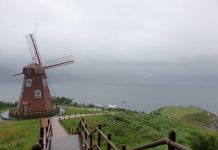 믿음과 인식의 변증법